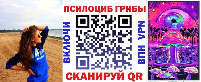 Купить где  Липецк  Псилоцибиновые грибы GOLDEN TEACHER 